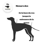 Imperméable pour lévrier et chiens de tous poils - Ilio Pod and Co
