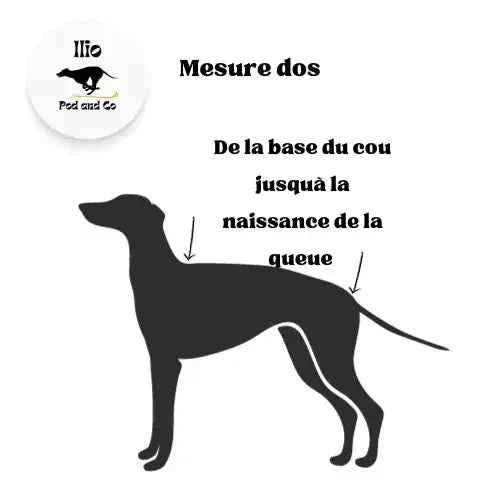 Imperméable pour lévrier et chiens de tous poils - Ilio Pod and Co