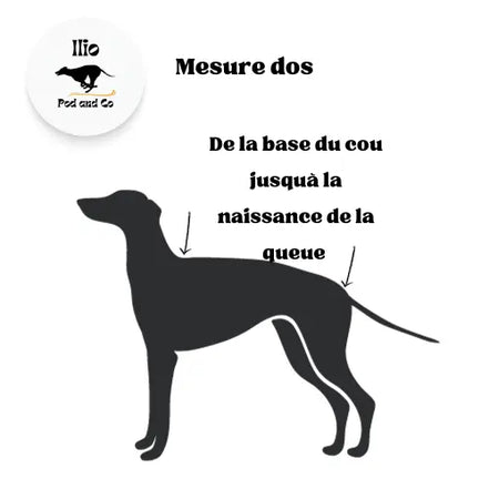 Imperméable pour lévrier et chiens de tous poils