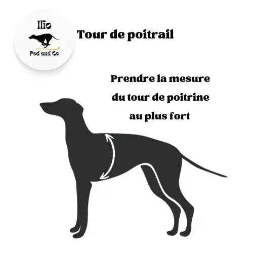 Imperméable pour lévrier et chiens de tous poils - Ilio Pod and Co