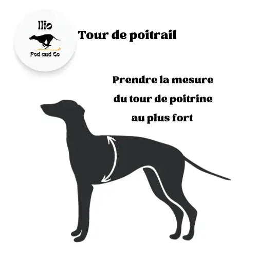 Imperméable pour lévrier et chiens de tous poils Ilio Pod and Co
