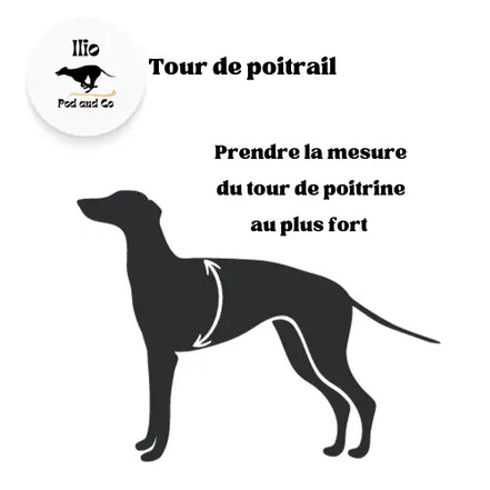 Imperméable pour lévrier et chiens de tous poils