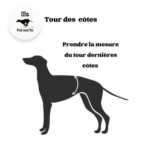 Imperméable pour lévrier et chiens de tous poils - Ilio Pod and Co