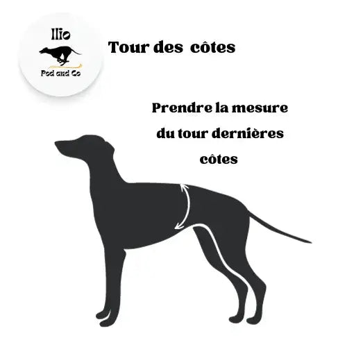 Imperméable pour lévrier et chiens de tous poils Ilio Pod and Co