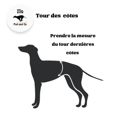 Imperméable pour lévrier et chiens de tous poils