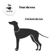 Imperméable pour lévrier et chiens de tous poils - Ilio Pod and Co