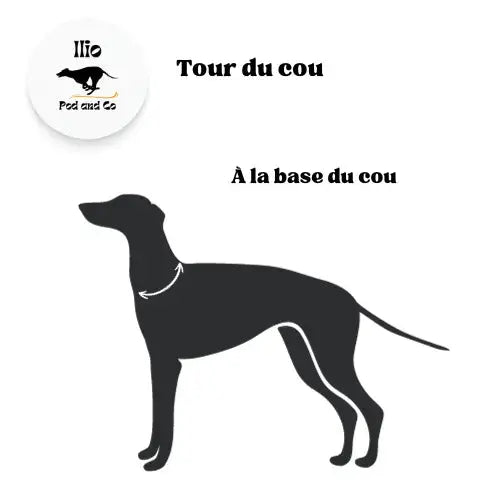 Imperméable pour lévrier et chiens de tous poils Ilio Pod and Co