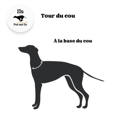 Imperméable pour lévrier et chiens de tous poils