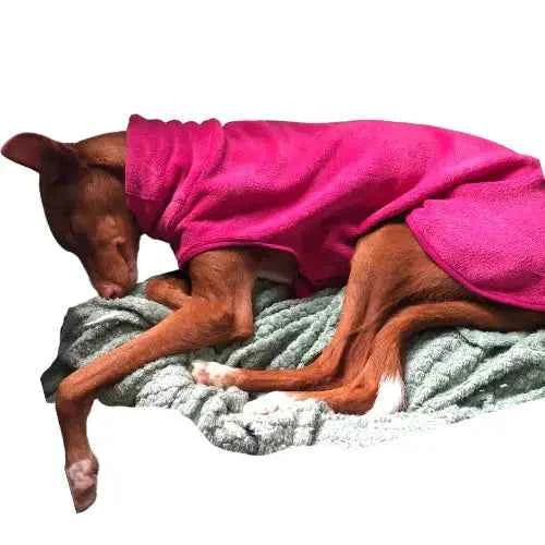 Polaire pour chien - Ilio Pod and Co
