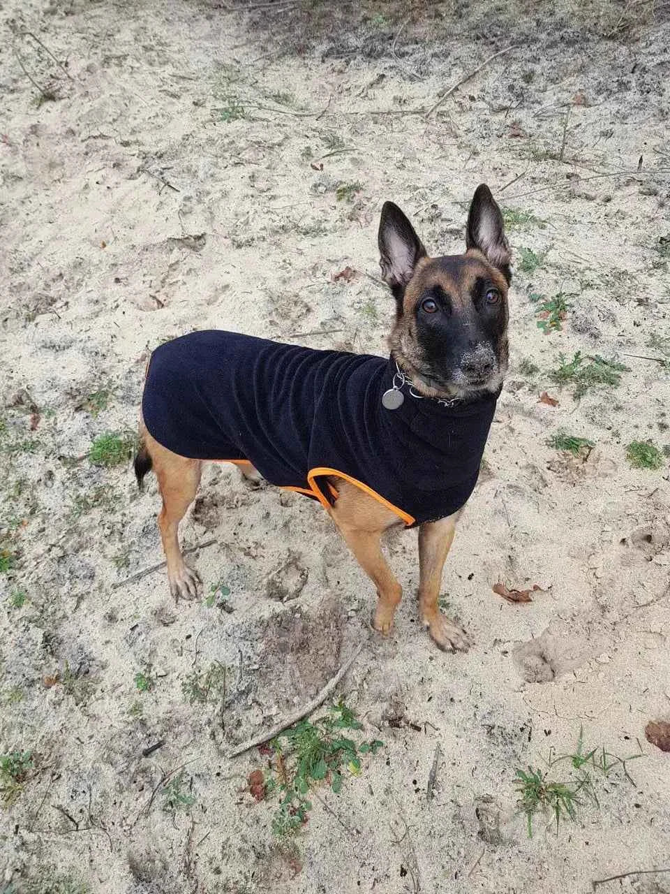 Polaire chaude + Longe PVC 5 mètres : Pack Lévrier , chien –  | Confort & Sécurité - Ilio Pod and Co
