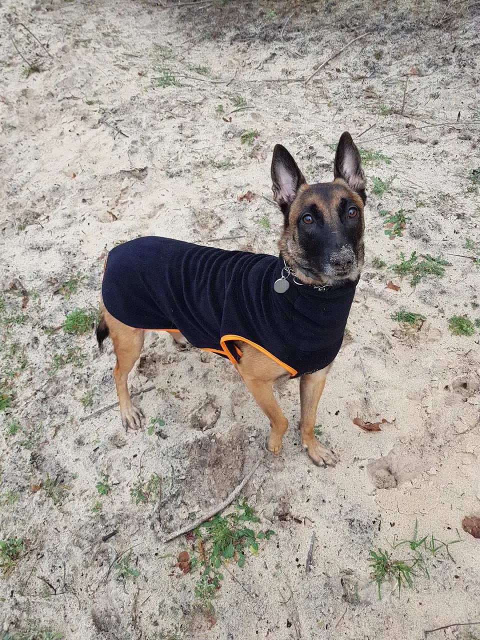 Polaire pour chien