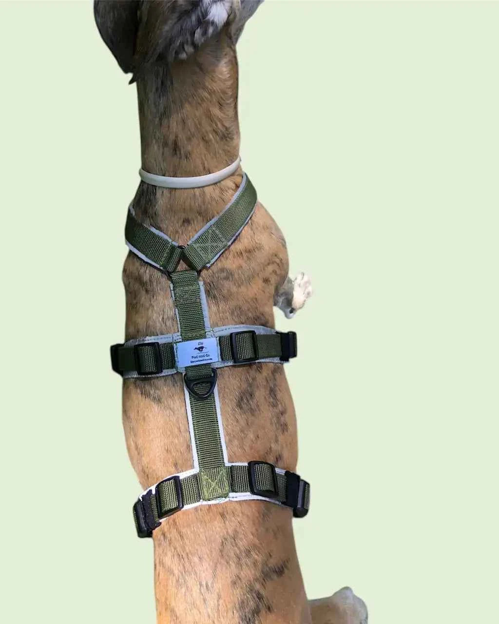 Harnais pour chien |Pack avec longe de 5m : le combo parfait ! - Ilio Pod and Co