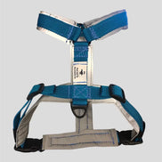 harnais-deux-points-chien