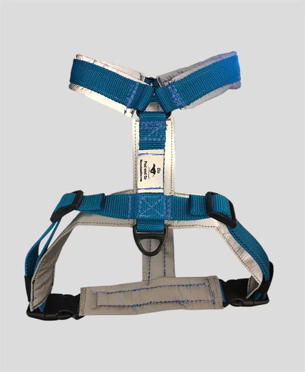 harnais-deux-points-chien