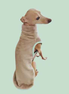 Polaire pour chien - Ilio Pod and Co