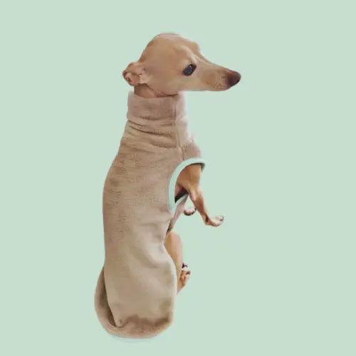 Polaire pour chien Ilio Pod and Co