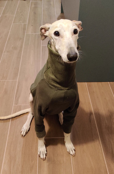 Pyjama chaud pour lévrier