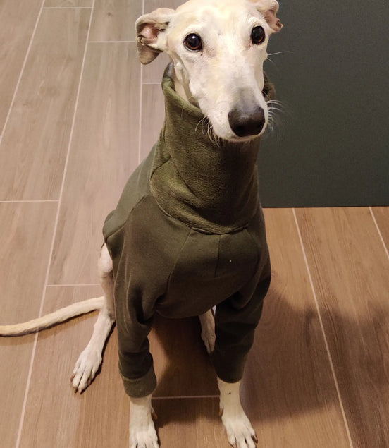 Pyjama chaud pour lévrier