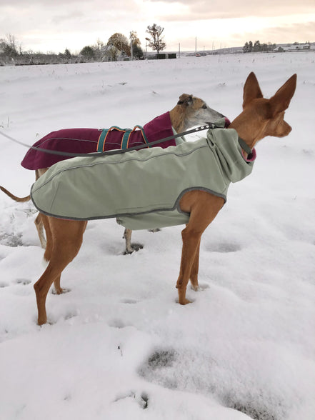 Manteau chaud et imperméable d'hiver pour lévrier et chiens toutes tailles