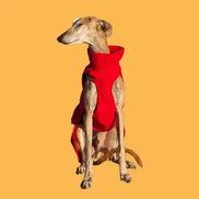 Imperméable pour lévrier et chiens de tous poils - Ilio Pod and Co