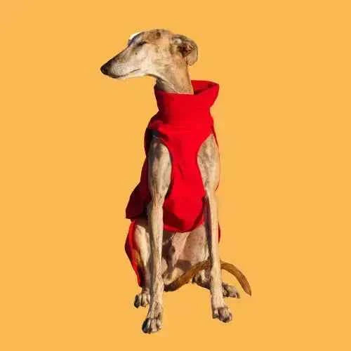 Imperméable pour lévrier et chiens de tous poils - Ilio Pod and Co