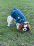 Imperméable pour lévrier et chiens de tous poils - Ilio Pod and Co