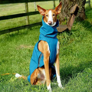 Imperméable pour lévrier et chiens de tous poils - Ilio Pod and Co