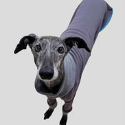 Pyjama chaud pour lévrier Ilio Pod and Co