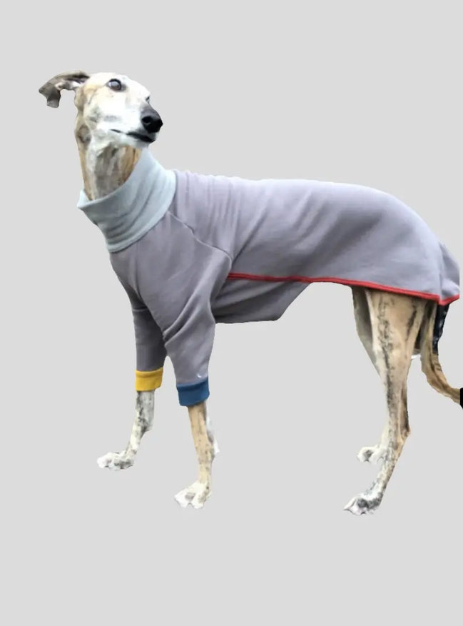 Pyjama chaud pour lévrier