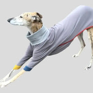 Pyjama chaud pour lévrier Ilio Pod and Co