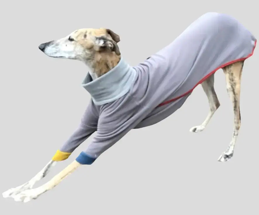 Pyjama pour lévrier : bien chaud et confortable - Ilio Pod and Co