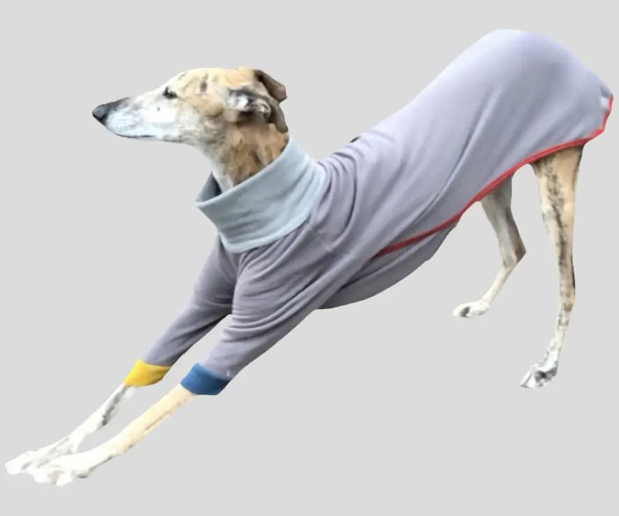 Pyjama chaud pour lévrier