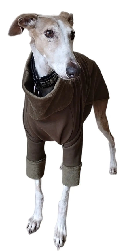 Pyjama chaud pour lévrier