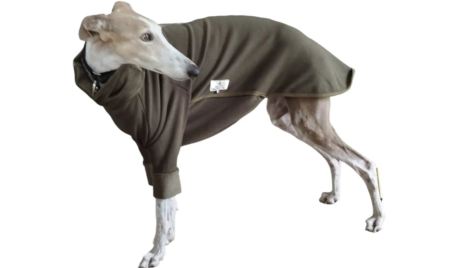 Pyjama chaud pour lévrier