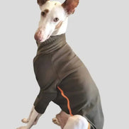 Pyjama chaud pour lévrier Ilio Pod and Co