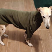 Pyjama chaud pour lévrier Ilio Pod and Co