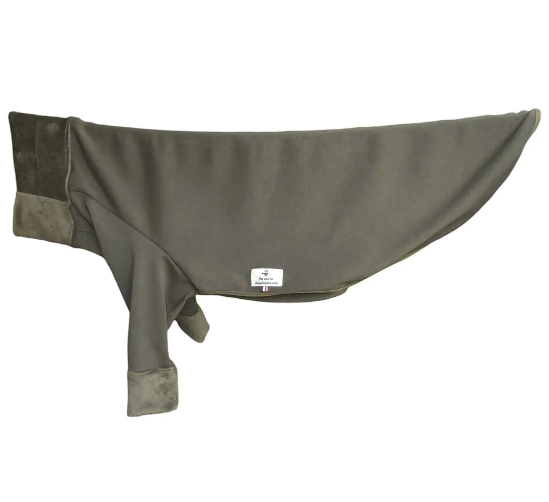 Pyjama pour lévrier : bien chaud et confortable - Ilio Pod and Co