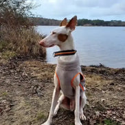 Une longe + Une polaire : les Essentiels Ilio Pod and Co