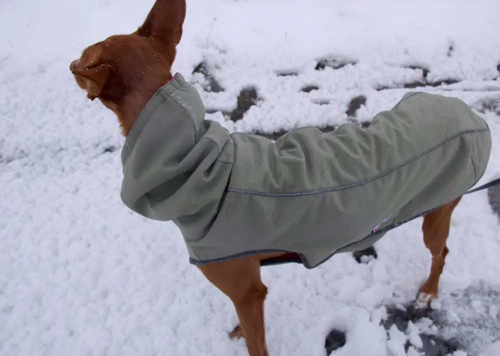 Manteau chaud et imperméable d'hiver pour lévrier et chiens toutes tailles