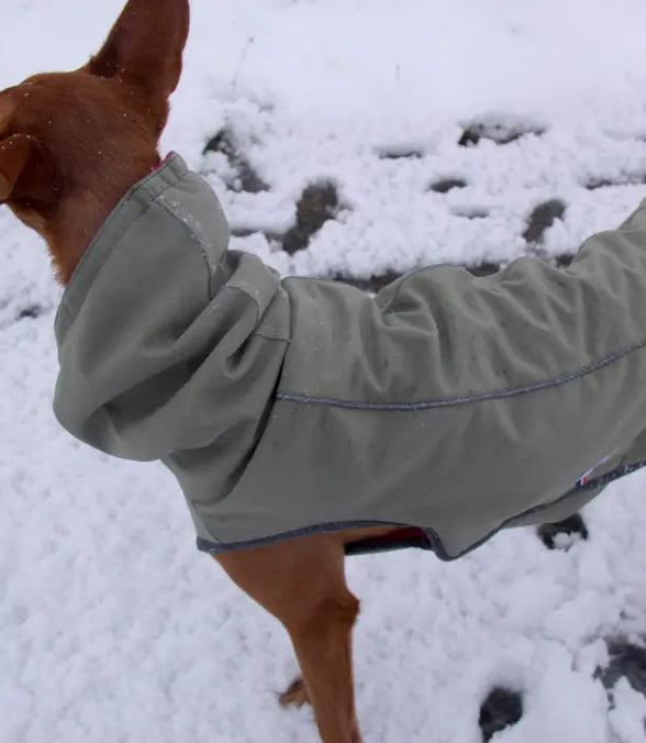 Manteau chaud et imperméable d'hiver pour lévrier et chiens toutes tailles