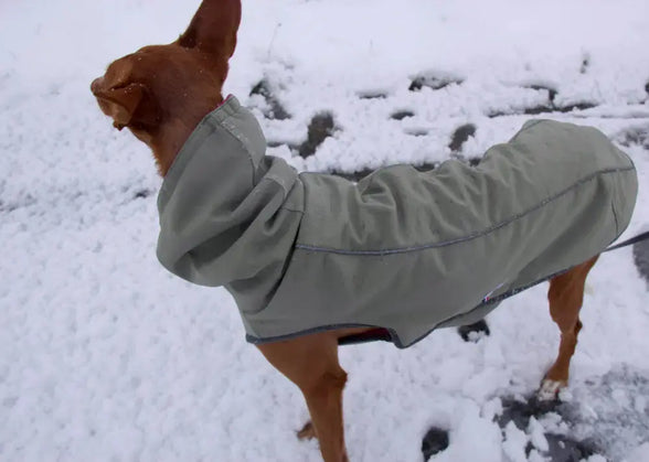 Manteau chaud et imperméable d'hiver pour lévrier et chiens toutes tailles Ilio Pod and Co