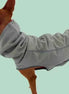 Manteau pour chien : imperméable, bien chaud pour lévrier et chiens toutes tailles - Ilio Pod and Co