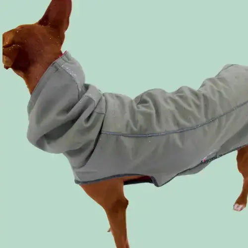 manteau-pour-levrier-podenco