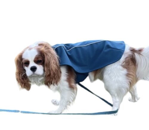 parka-pour-chien